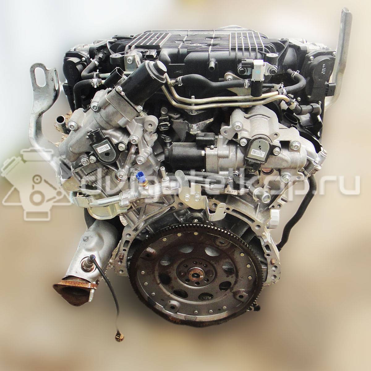 Двигатель vq37vhr для infiniti / mitsubishi / nissan 320-355 л.с 24v 3.7  бензин купить недорого с фото