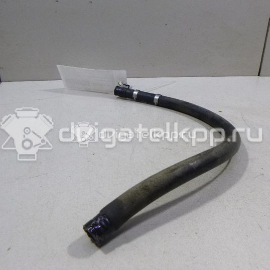 Фото Шланг гидроусилителя  8D0422891C для skoda Superb