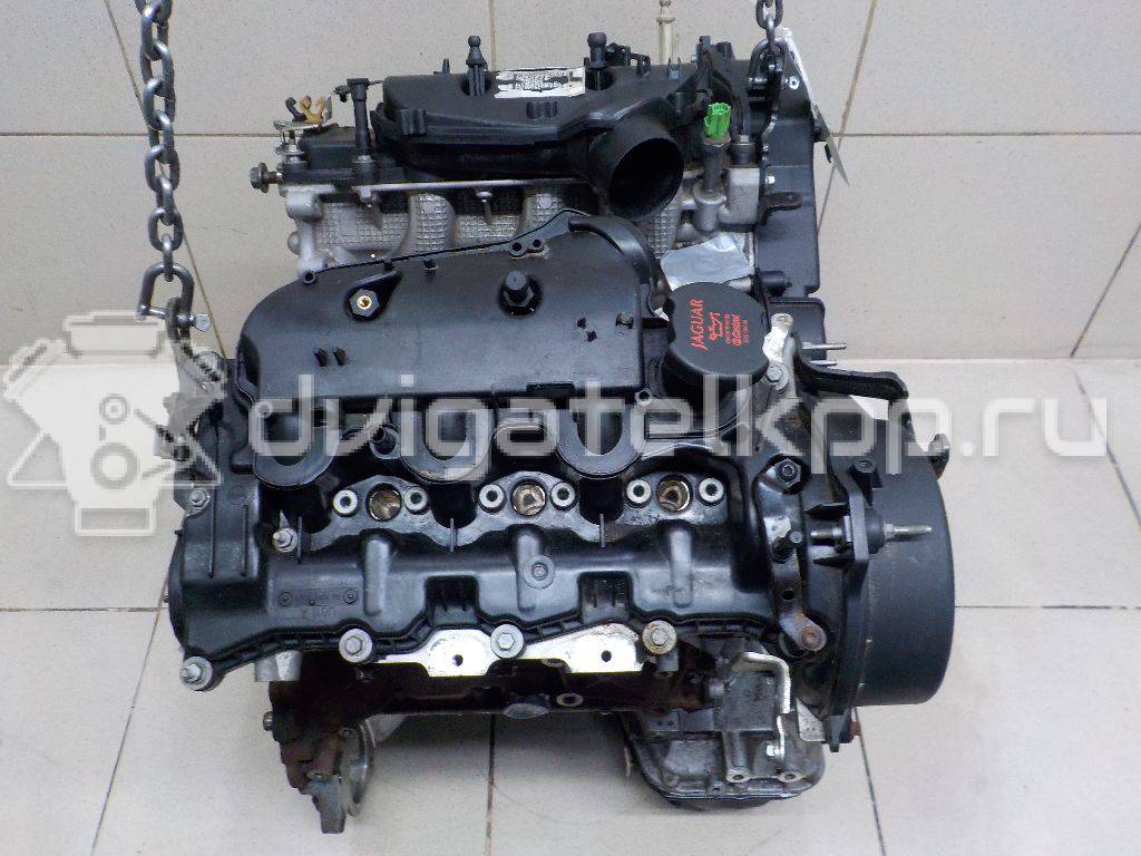 Фото Контрактный (б/у) двигатель 306DT для Jaguar / Land Rover 241-300 л.с 24V 3.0 л Дизельное топливо JDE7843 {forloop.counter}}