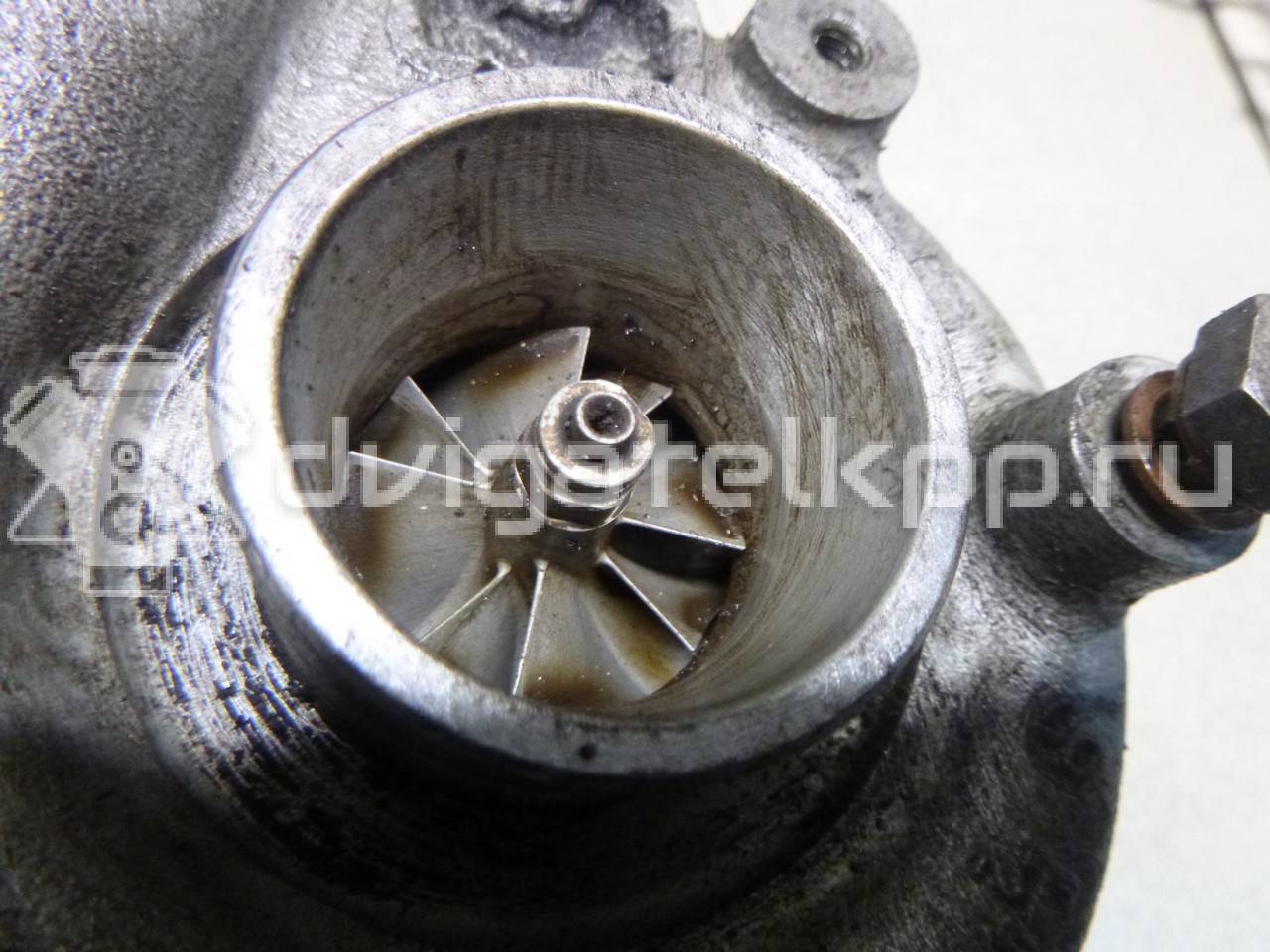 Фото Турбокомпрессор (турбина)  078145702s для Audi Allroad / A4 / A6 {forloop.counter}}