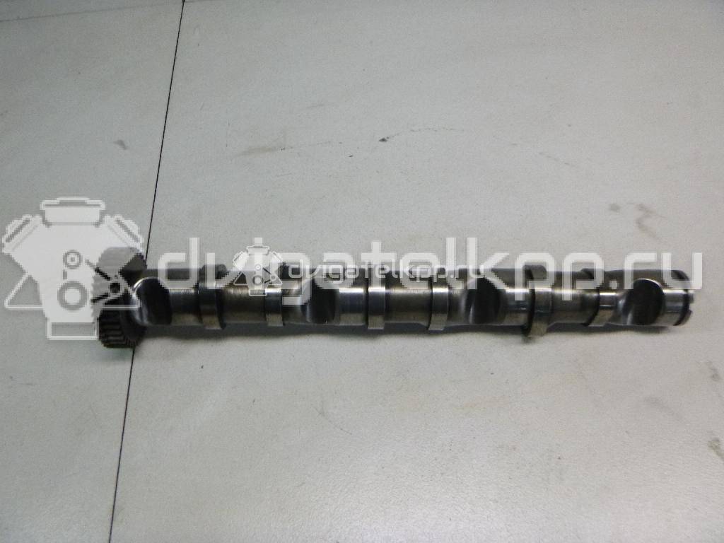 Фото Распредвал выпускной  059109009BH для Audi Allroad / A4 / A6 {forloop.counter}}