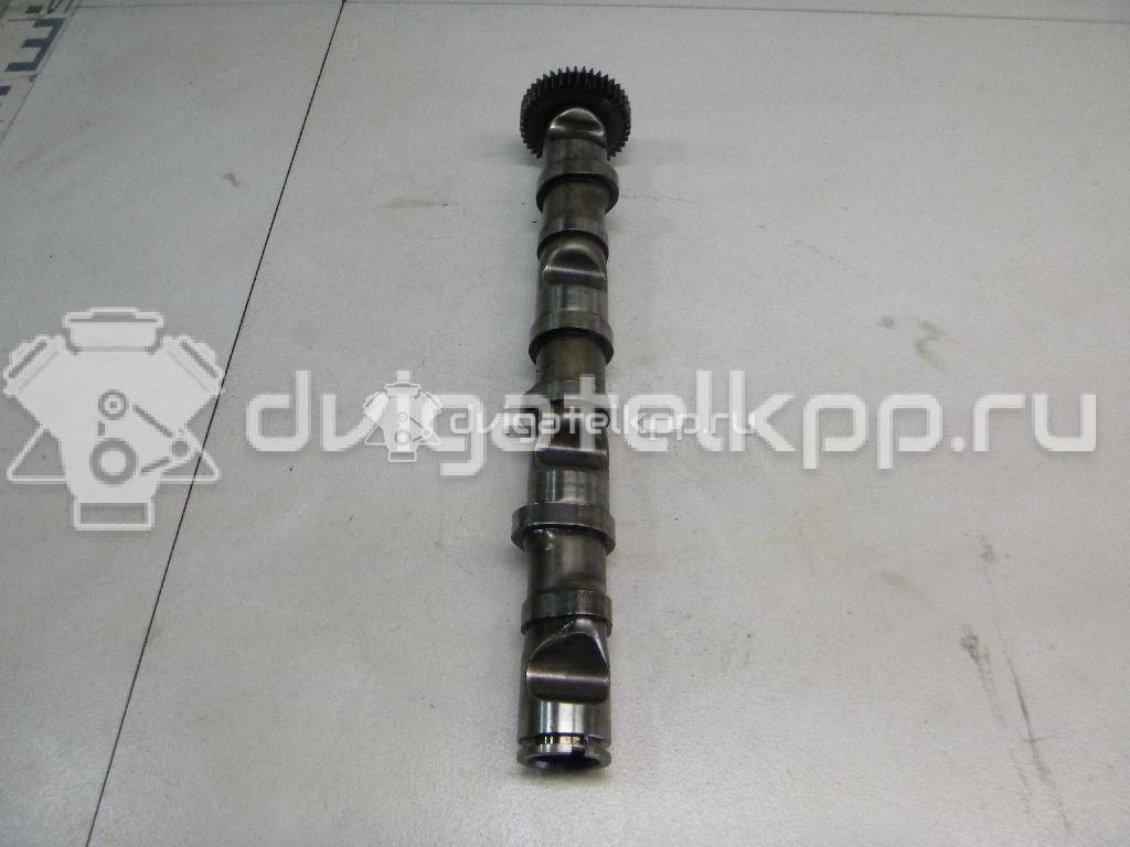 Фото Распредвал выпускной  059109009BH для Audi Allroad / A4 / A6 {forloop.counter}}