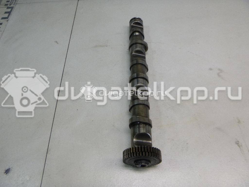 Фото Распредвал выпускной  059109009BH для Audi Allroad / A4 / A6 {forloop.counter}}