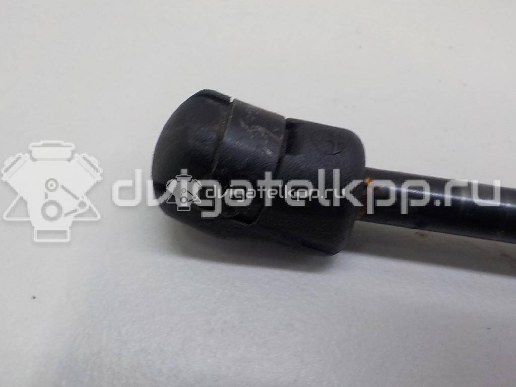 Фото Амортизатор капота  4F0823359A для Audi A6 {forloop.counter}}