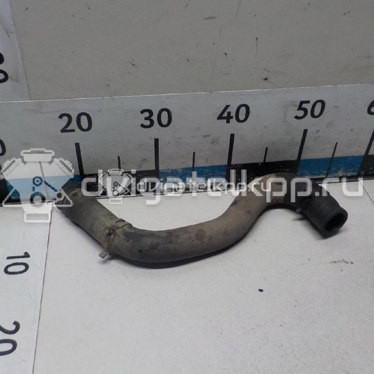 Фото Патрубок радиатора  1351ew для citroen C2