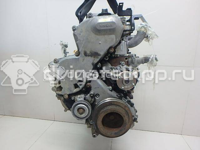 Фото Контрактный (б/у) двигатель YD25DDTi для Nissan Bassara / Nv350 E26 / Serena / Sani / Presage 100-190 л.с 16V 2.5 л Дизельное топливо {forloop.counter}}