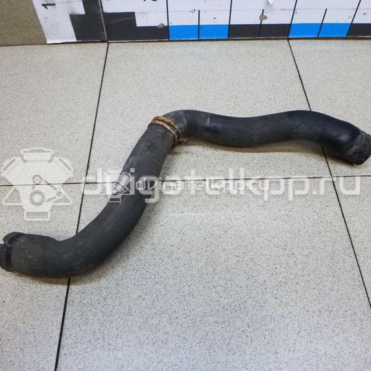Фото Патрубок радиатора  1490677 для Ford Focus / C-Max