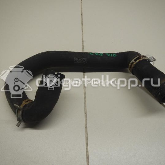 Фото Патрубок радиатора  1384148 для Ford Focus / C-Max