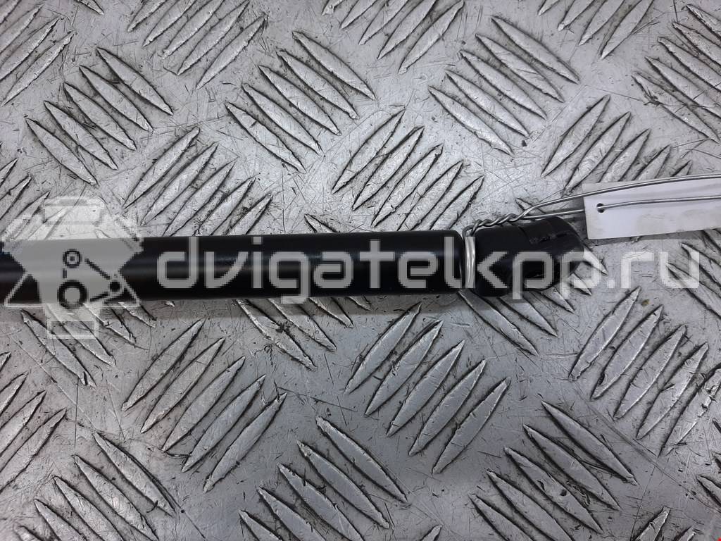 Фото Амортизатор капота  8D0823359B для Audi 100 / Allroad / A4 / A6 {forloop.counter}}