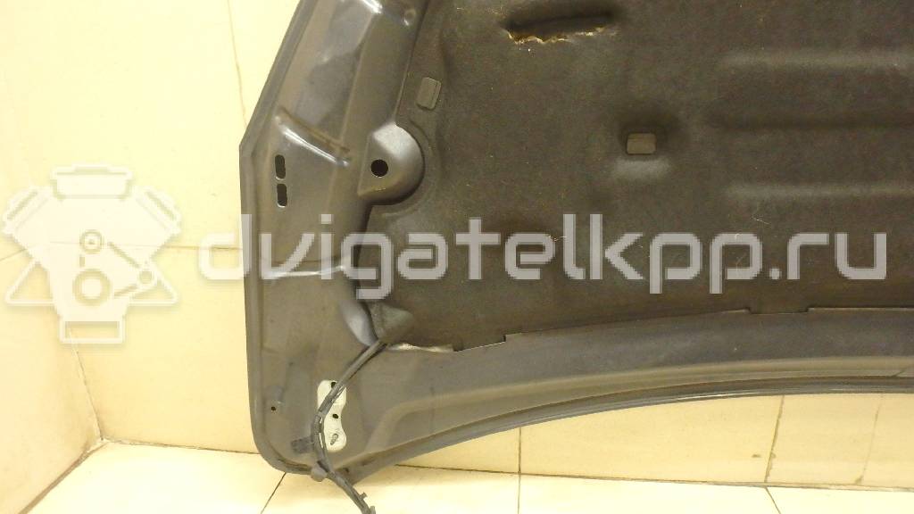 Фото Капот  1521601 для Ford Focus {forloop.counter}}