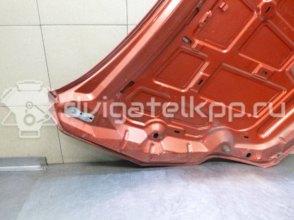 Фото Капот  1521601 для Ford Focus {forloop.counter}}