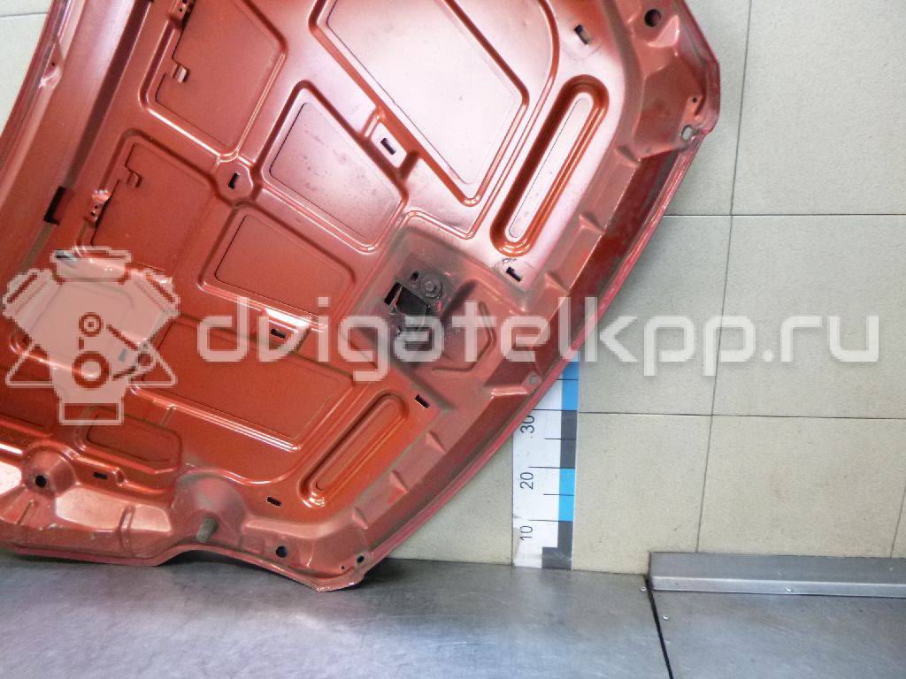 Фото Капот  1521601 для Ford Focus {forloop.counter}}