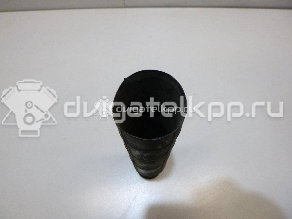 Фото Пыльник с отбойником к-кт  552403u000 для Nissan Tiida / Micra / Note / Cube / Cube Z12 {forloop.counter}}