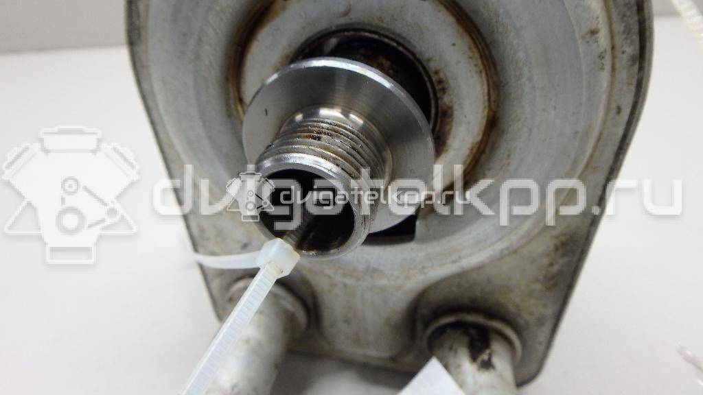 Фото Радиатор масляный  1925463 для Ford Fiesta / Focus / Tourneo / C-Max / Galaxy {forloop.counter}}