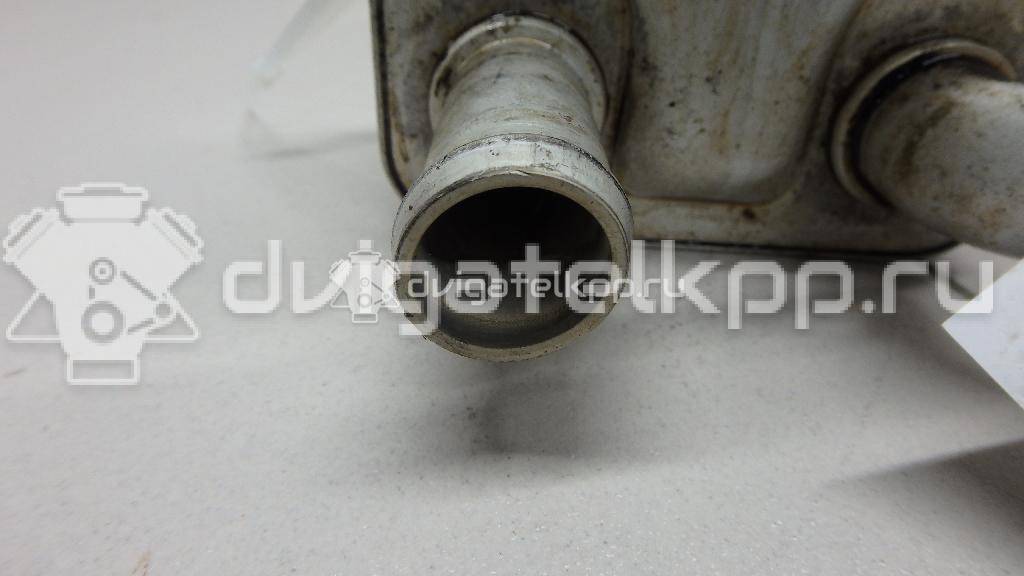Фото Радиатор масляный  1925463 для Ford Fiesta / Focus / Tourneo / C-Max / Galaxy {forloop.counter}}