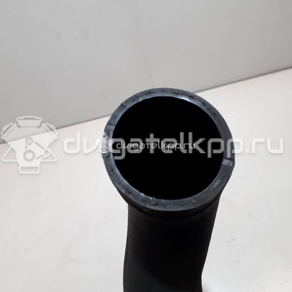 Фото Патрубок интеркулера  14463eb316 для Nissan Navara / Np300 / Pathfinder {forloop.counter}}