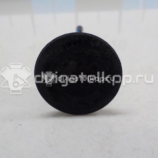 Фото Клапан впускной  1320926 для Ford Fiesta / Focus / Ka / Fusion Ju
