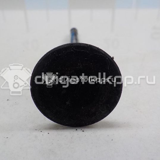 Фото Клапан впускной  1320926 для Ford Fiesta / Focus / Ka / Fusion Ju