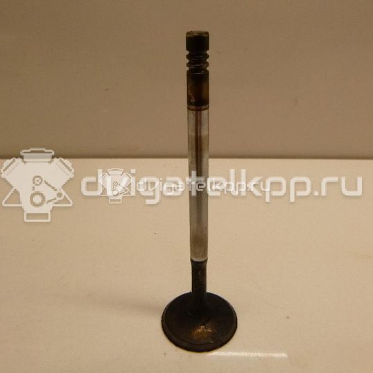 Фото Клапан впускной  1320926 для Ford Fiesta / Focus / Ka / Fusion Ju