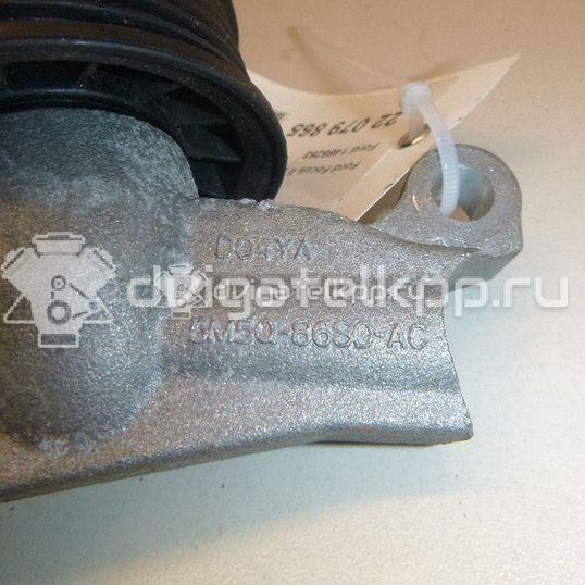 Фото Ролик дополнительный руч. ремня  1465253 для Ford Fiesta / Focus / Tourneo / C-Max / Ka