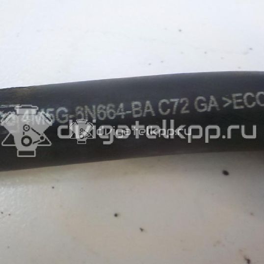 Фото Шланг вентиляции картер. газов  4M5G6N664BA для Ford Fiesta / Focus / Fusion Ju