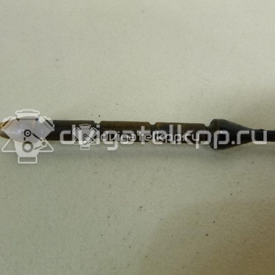 Фото Щуп масляный  1318717 для Ford Focus / C-Max