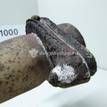 Фото Коллектор выпускной  1694244 для Ford Focus / C-Max / Galaxy / S-Max / Mondeo {forloop.counter}}