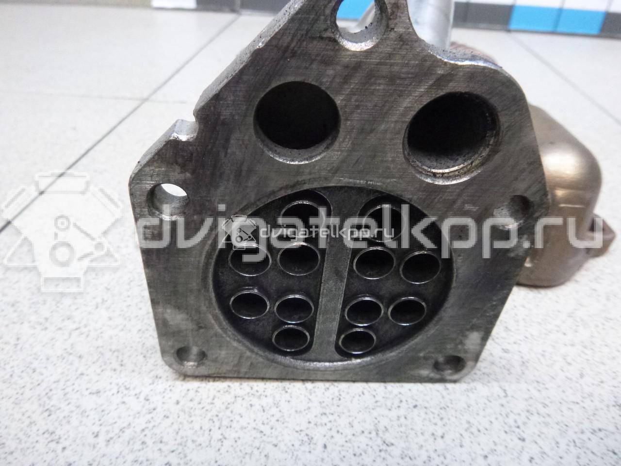 Фото Радиатор системы EGR  147350718R для Renault Megane / Scénic / Kangoo 1 / Grand / Fluence L30 {forloop.counter}}