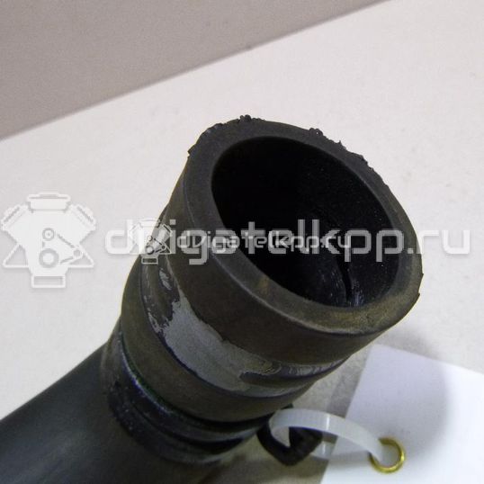 Фото Патрубок радиатора  8200233966 для Renault Grand / Scénic / Megane