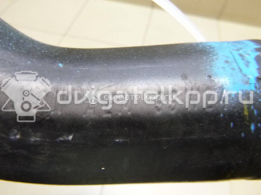 Фото Патрубок интеркулера  1135966 для Ford Fiesta / Focus {forloop.counter}}