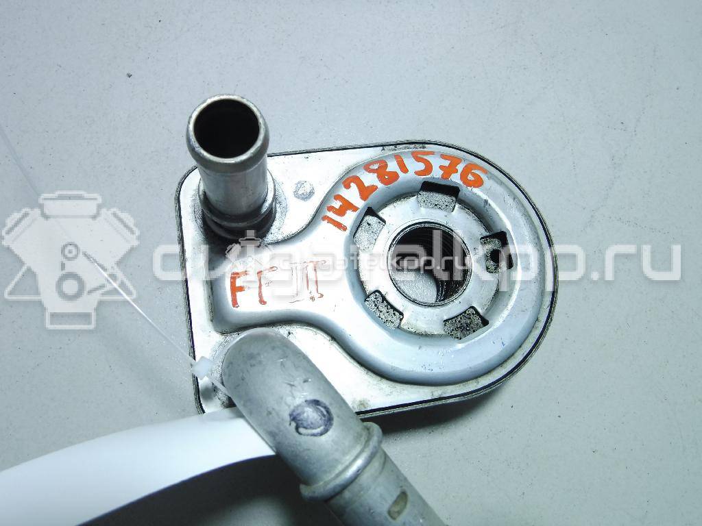 Фото Радиатор масляный  1801936 для Ford Focus / C-Max / Galaxy / Grand / Kuga {forloop.counter}}