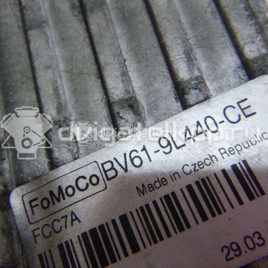 Фото Интеркулер  bv619l440ce для Ford Focus / Tourneo / C-Max / Grand / Kuga