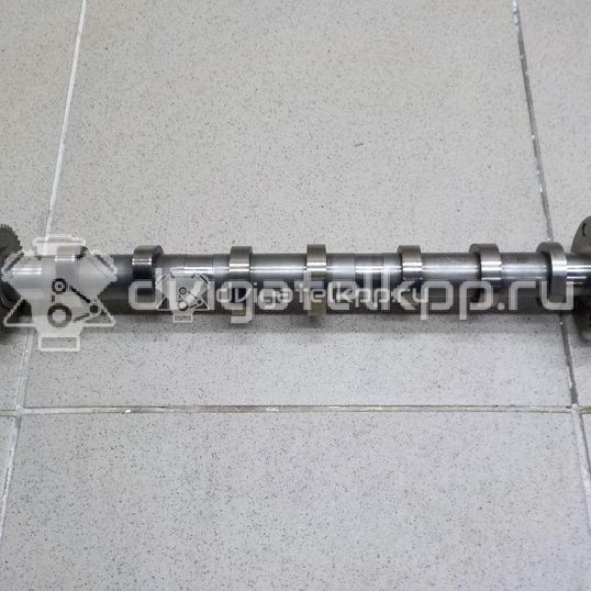 Фото Распредвал впускной  059109021er для audi A8 [4H]