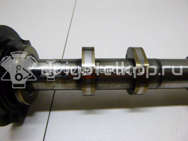 Фото Распредвал впускной  1688419 для Ford Transit {forloop.counter}}