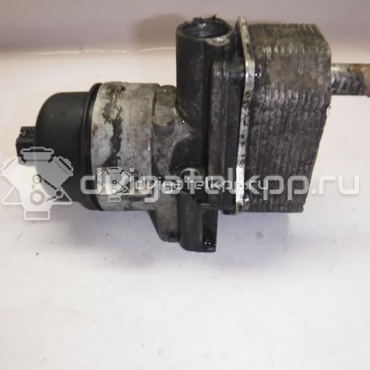 Фото Радиатор масляный  6C1Q6B624BA для Ford Transit