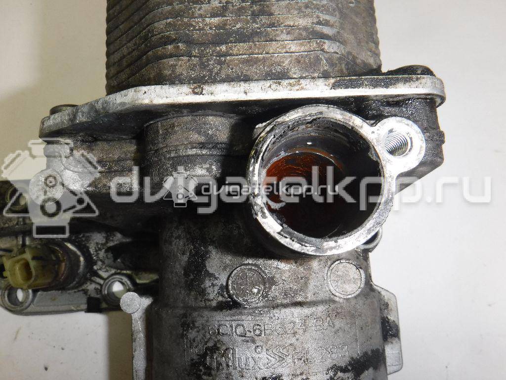 Фото Радиатор масляный  6C1Q6B624BA для Ford Transit {forloop.counter}}