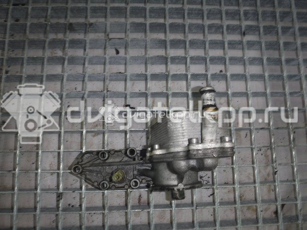 Фото Радиатор масляный  6C1Q6B624BA для Ford Transit {forloop.counter}}