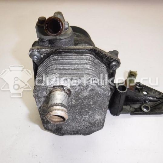 Фото Радиатор масляный  6C1Q6B624BA для Ford Transit