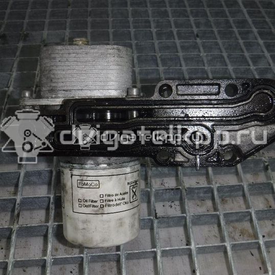 Фото Радиатор масляный  BK3Q6B624CB для Ford Transit