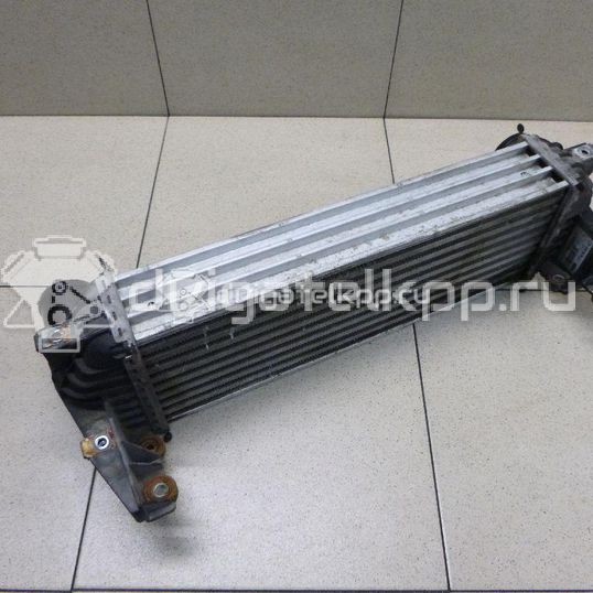 Фото Интеркулер  4999282 для Ford Tourneo / Transit