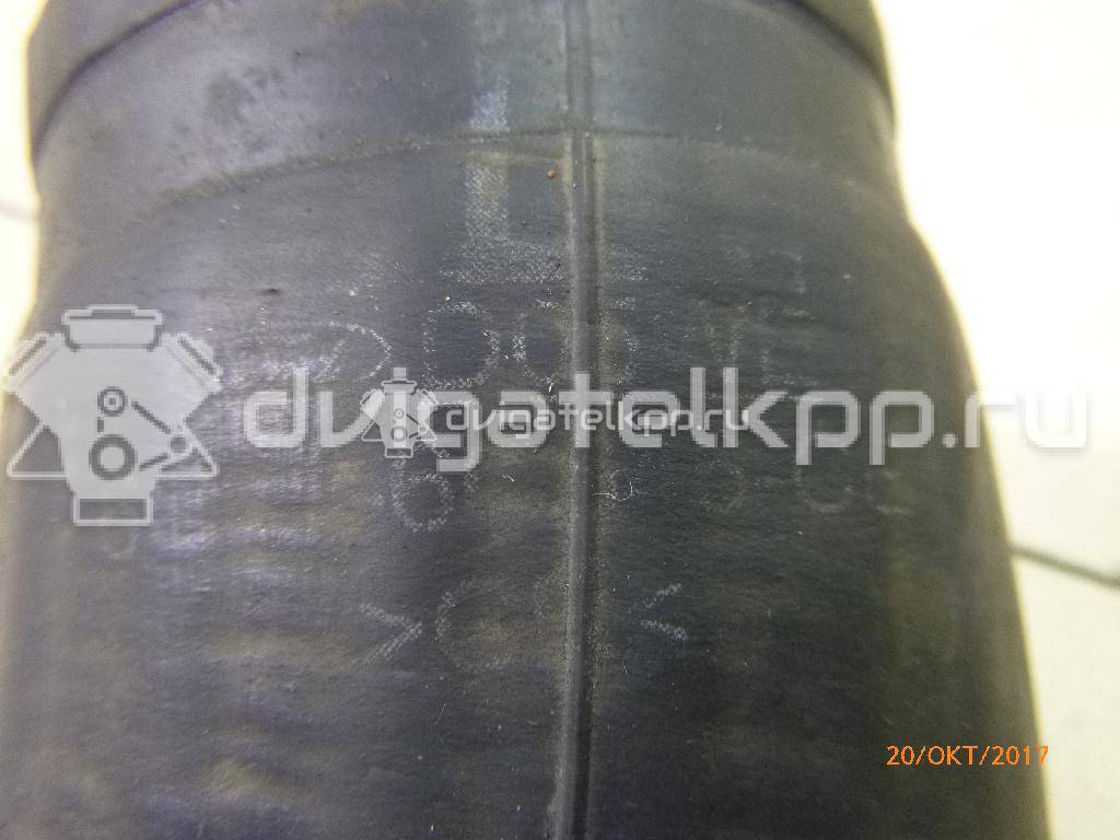 Фото Патрубок интеркулера  6c116c646ce для Ford Transit {forloop.counter}}