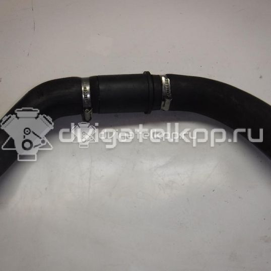 Фото Патрубок интеркулера  1440261 для Ford Transit