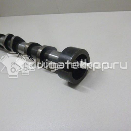 Фото Распредвал выпускной  0801EC для Ford Galaxy / S-Max / Transit / Mondeo