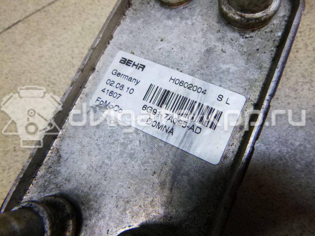 Фото Радиатор (маслоохладитель) АКПП  1446535 для volvo V70 {forloop.counter}}