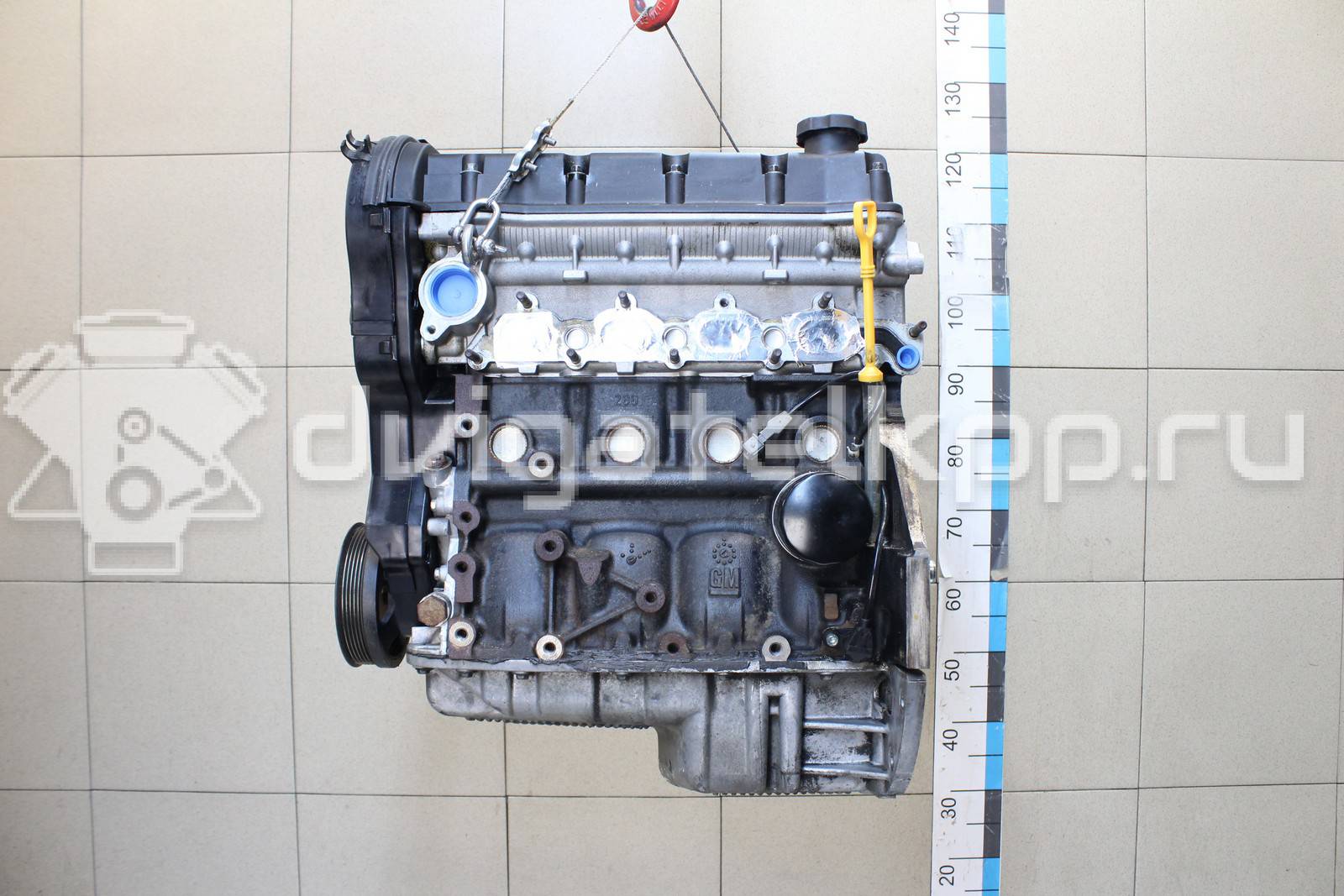 Фото Контрактный (б/у) двигатель F16D3 для Daewoo / Chevrolet / Holden 105 л.с 16V 1.6 л бензин 96475805 {forloop.counter}}