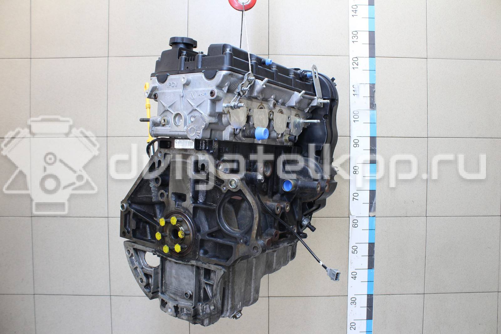 Фото Контрактный (б/у) двигатель F16D3 для Daewoo / Chevrolet / Holden 105 л.с 16V 1.6 л бензин 96475805 {forloop.counter}}