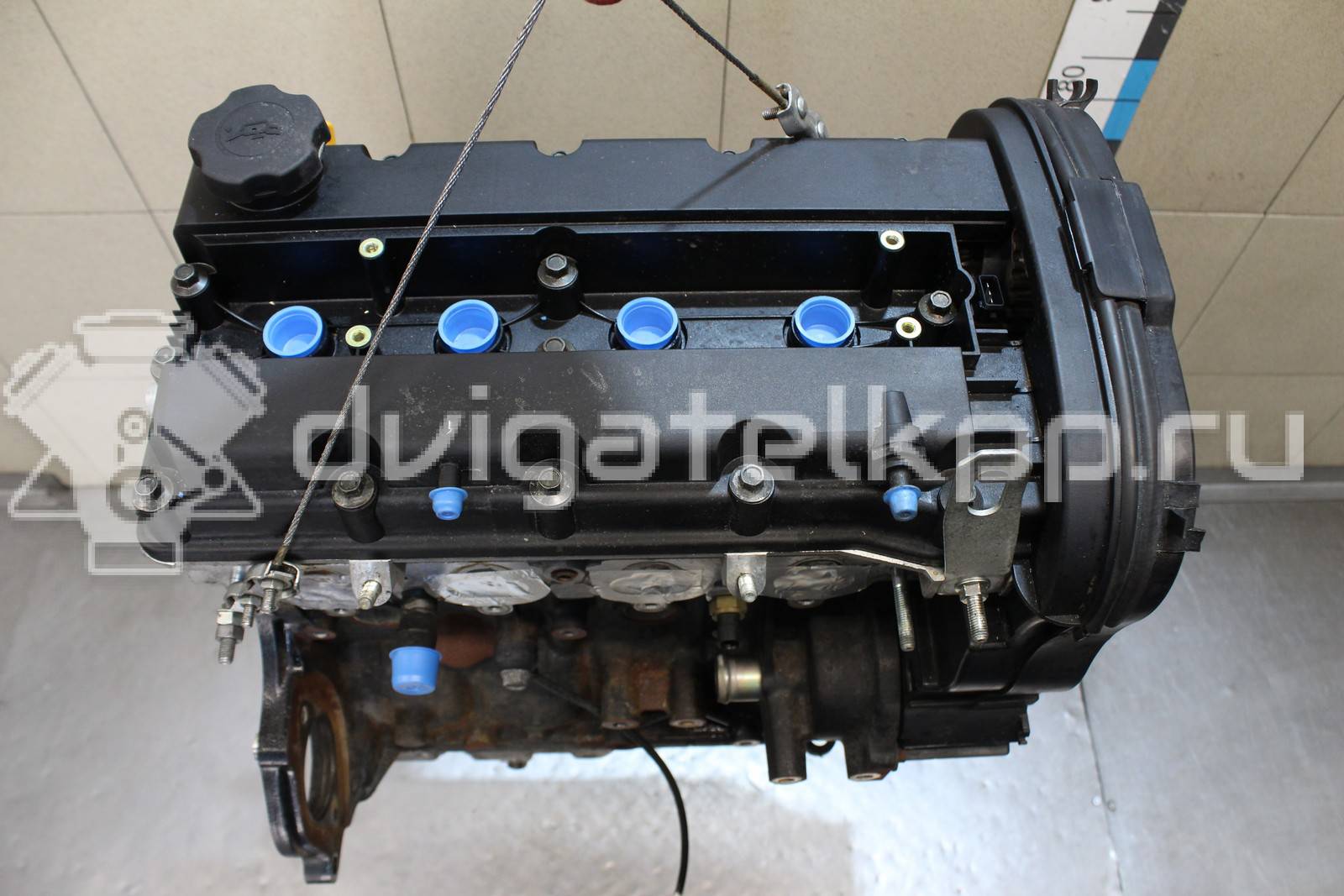 Фото Контрактный (б/у) двигатель F16D3 для Daewoo / Chevrolet / Holden 105 л.с 16V 1.6 л бензин 96475805 {forloop.counter}}
