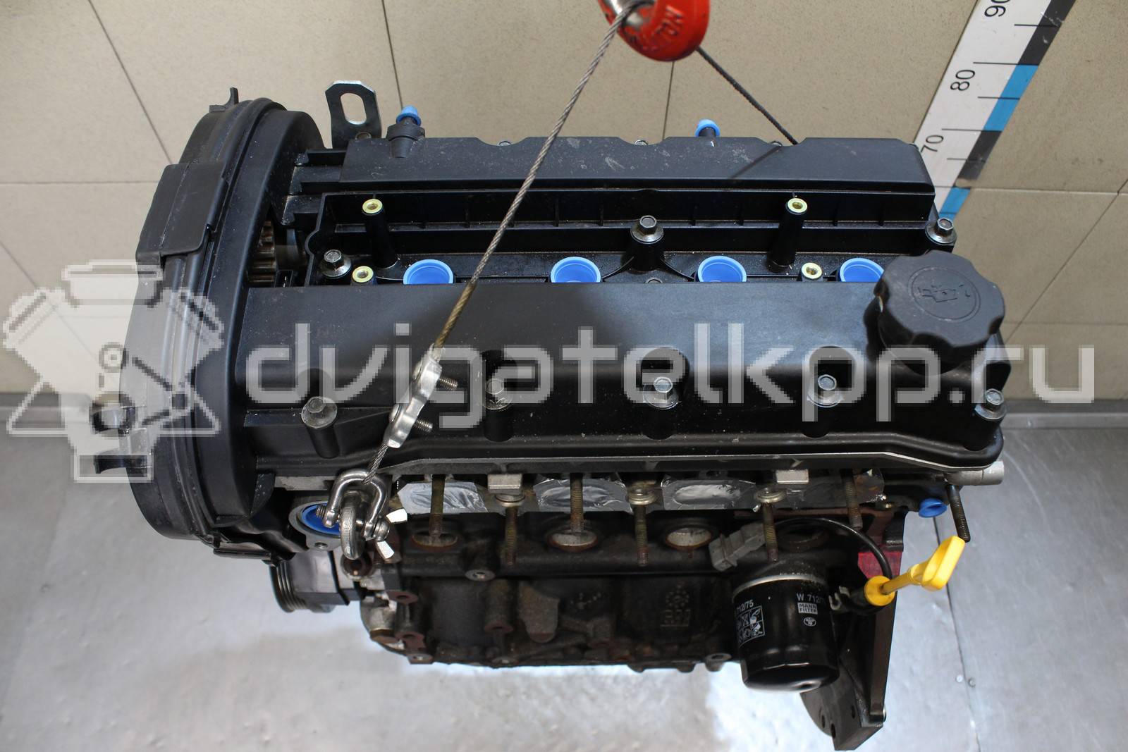 Фото Контрактный (б/у) двигатель F16D3 для Buick / Daewoo / Chevrolet / Holden 106 л.с 16V 1.6 л бензин 96475805 {forloop.counter}}