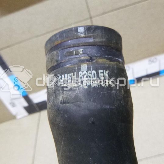 Фото Патрубок радиатора  1490677 для Ford Focus / C-Max