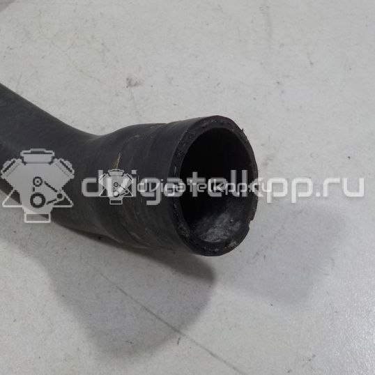 Фото Патрубок радиатора  1490677 для Ford Focus / C-Max